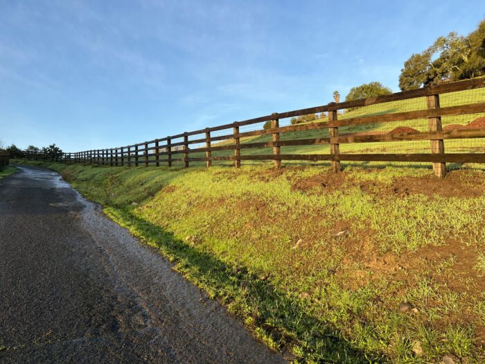 4 rail wood fence with 6x6 posts and black non-climb wire along road built by s c barns