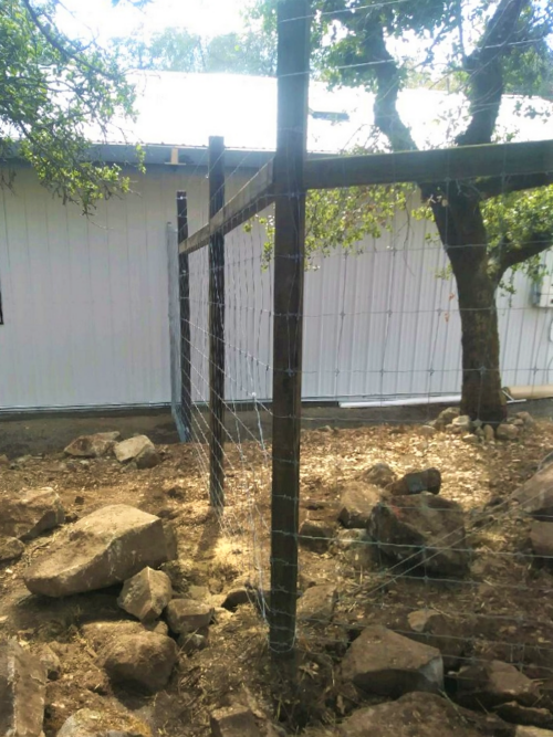 Deer And Vineyard Fence Sc Barns Buildings And Fence