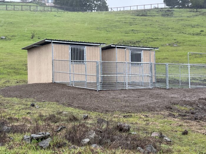 horse shelters with stall fronts and 2x4 mesh panel paddocks built by s c barns