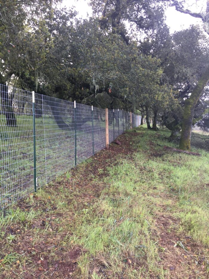 Non Climb Fence with T Posts