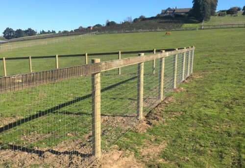 Non Climb Wire with top rail Fence