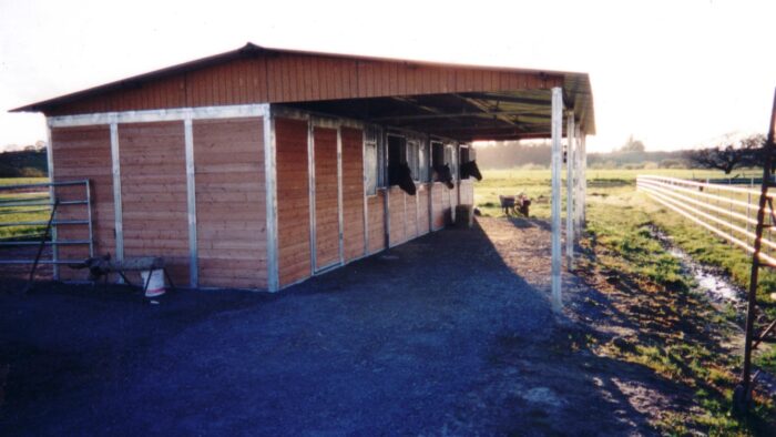 Shed-Row Barn with 12' Overhang