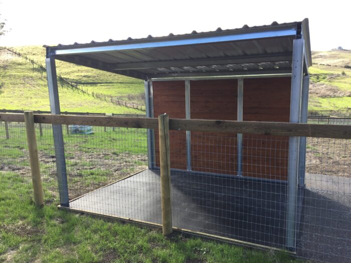 Free standing shelter with one T&G wall