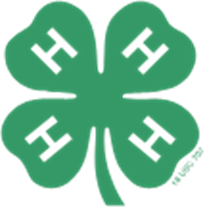 4-h